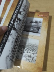 战火染红青春岁月