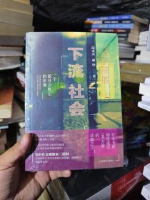下流社会：一个新社会阶层的出现+低欲望社会：“丧失大志时代”的新·国富论 2册合售