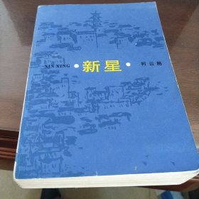 朝内166人文文库·中国当代长篇小说：新星
