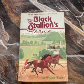 英文原版 The Black Stallion's Sulky Colt 黑神驹系列：黑神驹的愠怒小马 Walter Farley 青少年骑马动作冒险小说 英文版 进口英语原版书籍