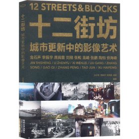 十二街坊 城市更新中的影像艺术 影视理论 作者 新华正版