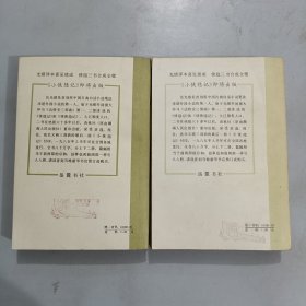 侠义英雄传（上下册） 品相好 自然旧