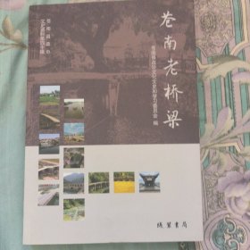 苍南老桥梁