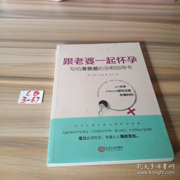 跟老婆一起怀孕：写给准爸爸的孕期指导书