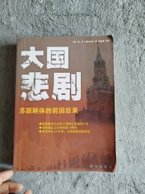 大国悲剧：苏联解体的前因后果（里面散页了但不缺页）看准实物图片下单