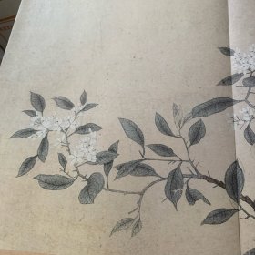 八花图