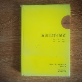 麦田里的守望者 纪念版