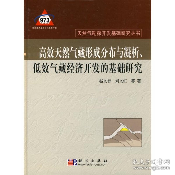 高效天然气形成分布与凝析、低效气藏经济开发的基础研究