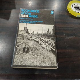 Economics of the real world.1975年老鹈鹕丛书，现实世界经济学，多图表