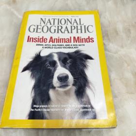 英文原版：National Geographic——Inside Animal Minds（国家地理）