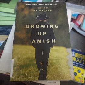 growing up amish