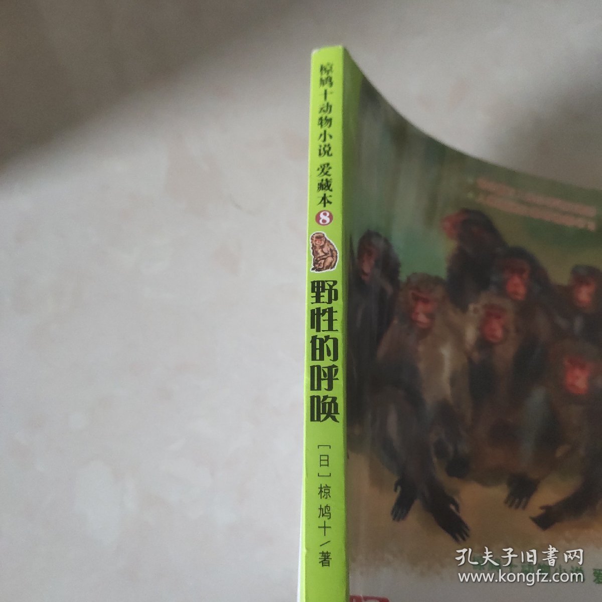 国际安徒生大奖国内奖：椋鸠十动物小说爱藏本 野性的呼唤