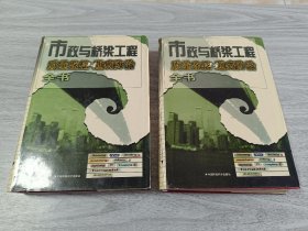 市政与桥梁工程质量监控与通病防治全书