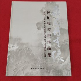 岭南丹青缘 林伯墀书画作品集 16开精装 印一千 品相如图