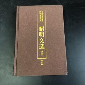 昭明文选译注（第六卷）（存放210层D6）