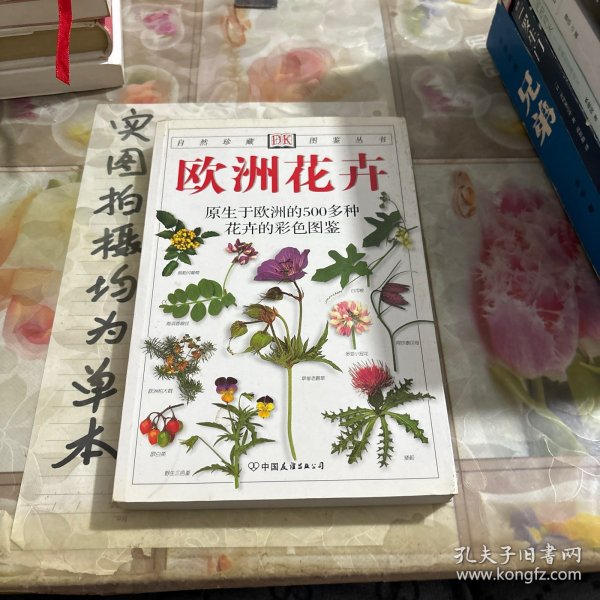 欧洲花卉：原生于欧洲的500多种花卉的彩色图鉴