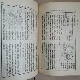 植物学大词典（全一册民国版）