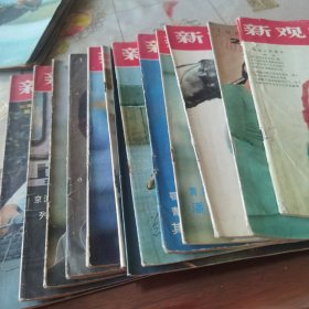 新观察 1983年 1 2 3 4 6 10 11 13 16 18 19 21 22 24共14本