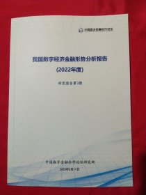 我国数字经济金融形式分析报告（2022年度）