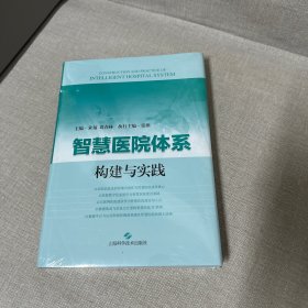 智慧医院体系构建与实践（库存书籍内页干净无写划。封面有压痕不影响阅读）