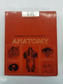 ANATOMY