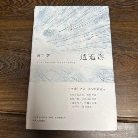 逍遥游（《冬泳》作者班宇最新作品，同名小说列收获文学排行榜短篇榜首）