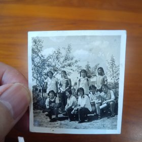 老照片–60年代九名年轻女孩在户外合影（多人留长辫，1965年8月）