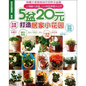 5盆20元打造居家小花園