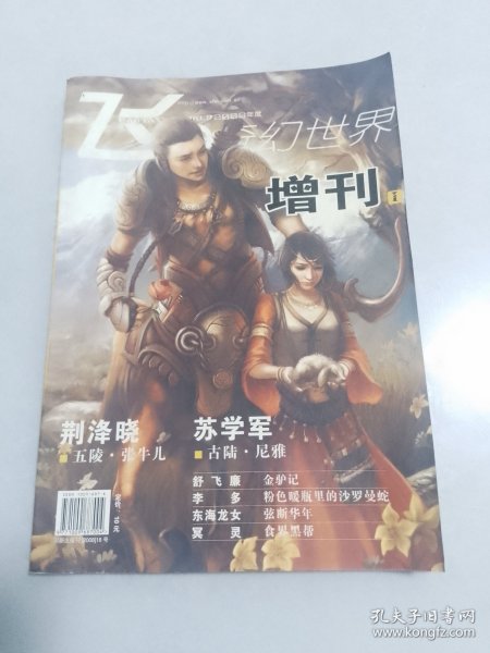 飞奇幻世界2008增刊