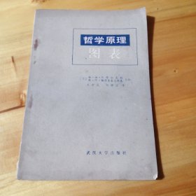 （包邮） 哲学原理图表