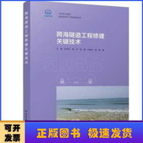 跨海隧道工程修建关键技术