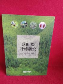 落叶松叶峰研究