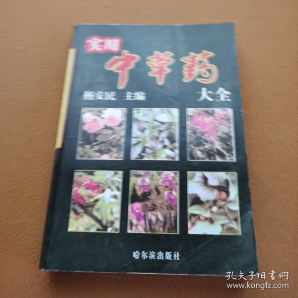 实用中草药大全