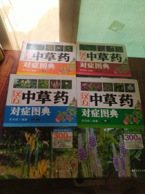 汉方中草药对症图典（共四册）全套4册合售 书重3540克