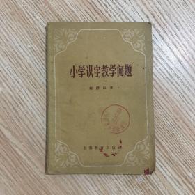 小学识字教学问题