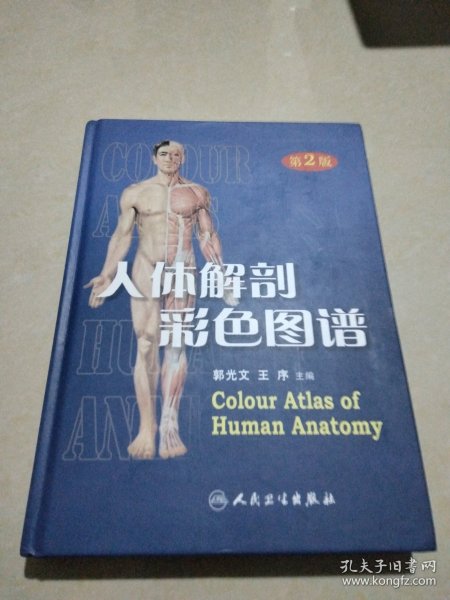 人体解剖彩色图谱