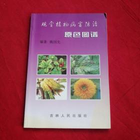 观赏植物病害防治原色图谱