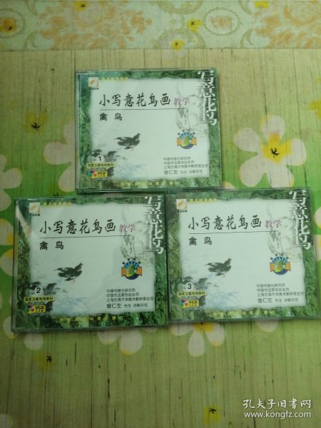 小写意花鸟画教学 禽鸟 3VCD