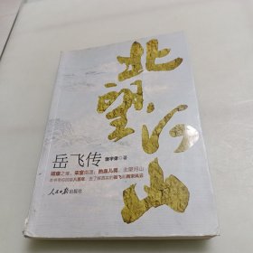 北望河山 ：岳飞传