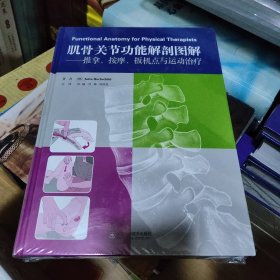 肌骨关节功能解剖图解