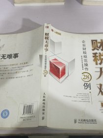 财税无难事：企业财税规范操作28例
