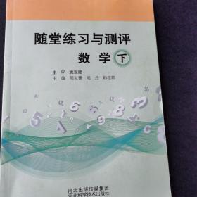 随堂练习与测评数学下册