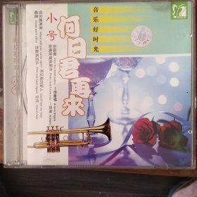 小号 何日君再来（1CD)