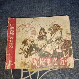 新松屯的后代 连环画