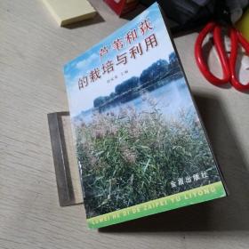 芦苇和荻的栽培与利用