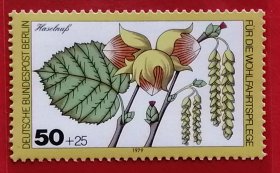 联邦德国邮票 西柏林 西德 1979年 发行量470万 社会福利基金附捐邮票 森林植物的叶 花与果实 榛树 4-2 全新