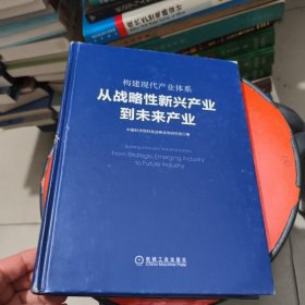 构建现代产业体系：从战略性新兴产业到未来产业