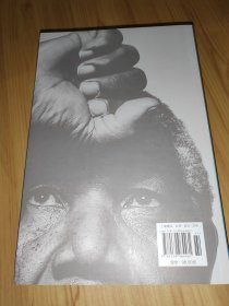南非的启示：曼德拉传·从南非看中国·新南非十九年