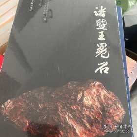 诸暨王冕石