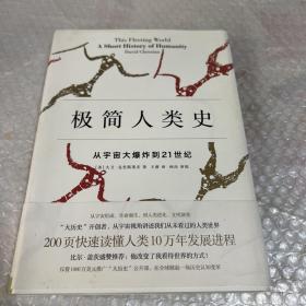 极简人类史：从宇宙大爆炸到21世纪